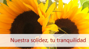 Inmobiliaria Osuna
